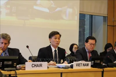 Tình hình thực hiện Công ước quốc tế về các quyền dân sự, chính trị và pháp luật Việt Nam về các quyền dân sự, chính trị trong lĩnh vực trợ giúp pháp lý tại Việt Nam