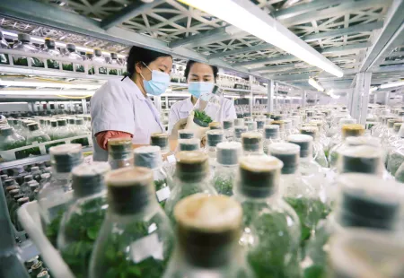 Chính sách phát triển nông nghiệp Thái Lan và một số gợi ý tham chiếu cho Việt Nam